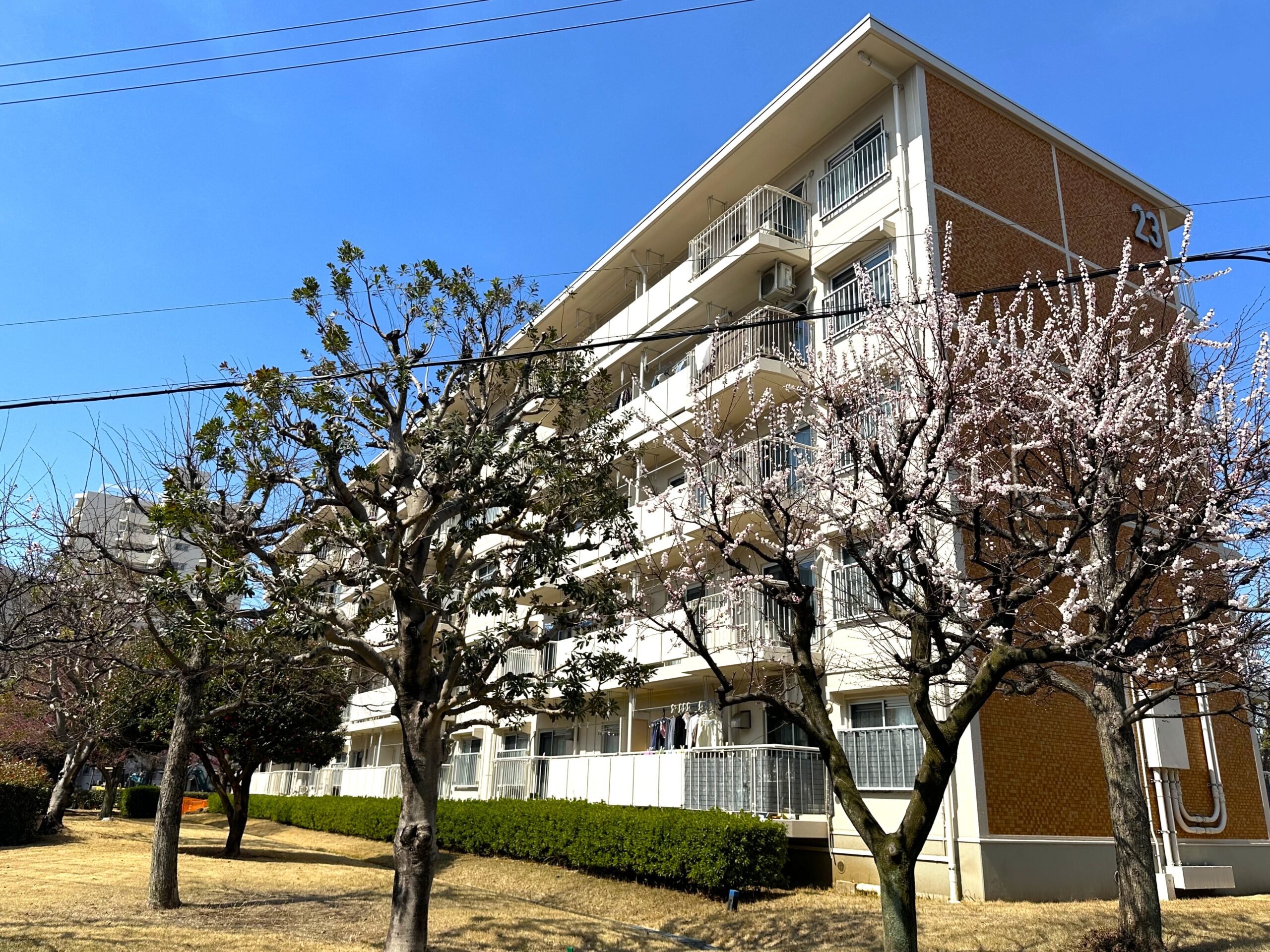 【若葉台第一住宅】スケルトンリノベ
