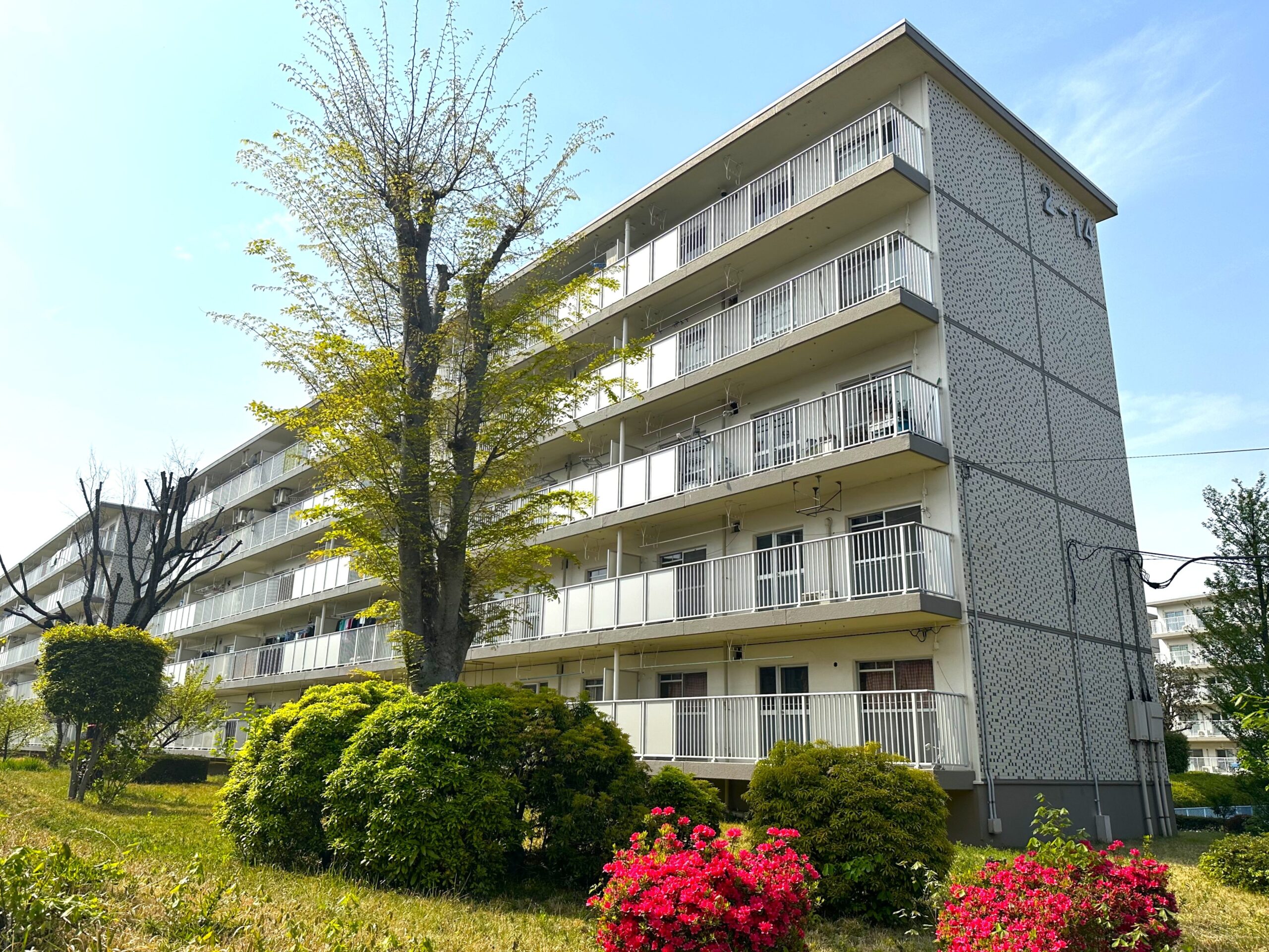 【狭山台団地2街区】リノベーション